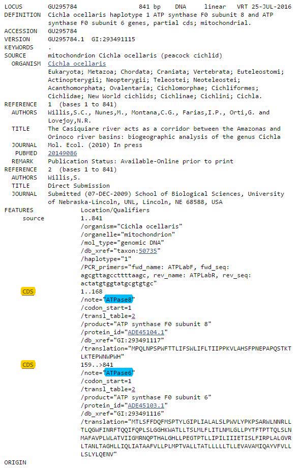 Fig. 2: GenBank features annotation for accession G295784.1 that contains ATP8 and ATP6. The words highlighted in yellow would fall under the column of Type. Here they are both CDS. The type of sequence is always listed farthest to the left in the features table. Colors in blue indicate terms that would be placed in the Name column, here indicating that the two CDS in this example are ATP8, labeled as ATPase8 and ATP6 respectively.